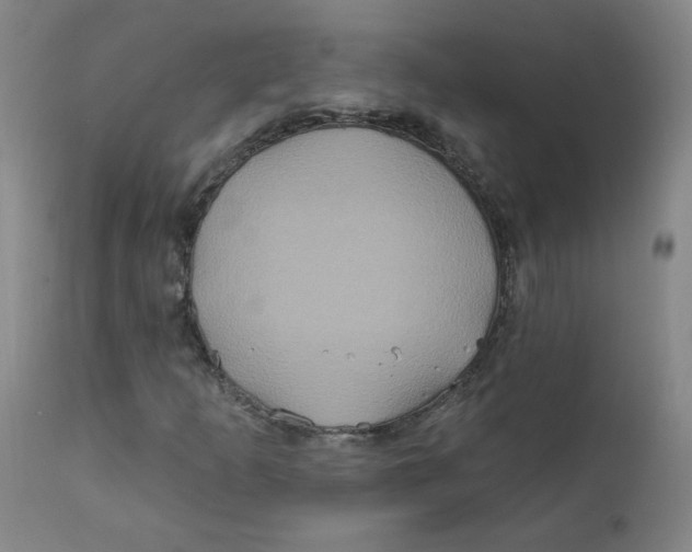 X0000112201253200909041309