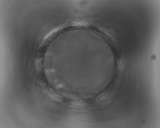 X0000112201254200909041309