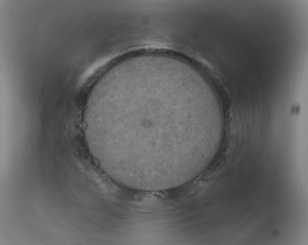 X0000112201255200909041309