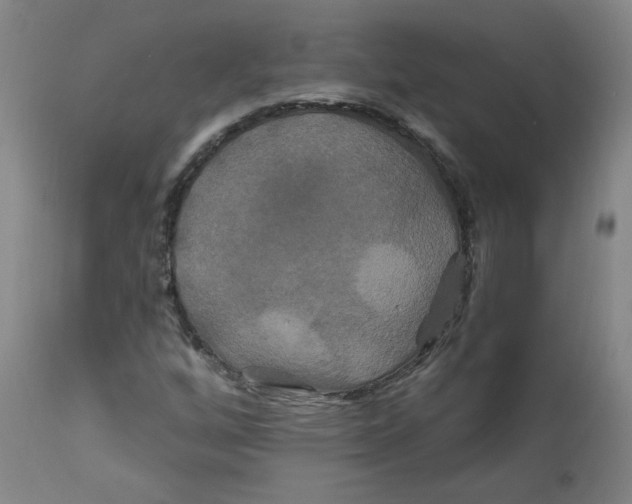 X0000112201256200909041309
