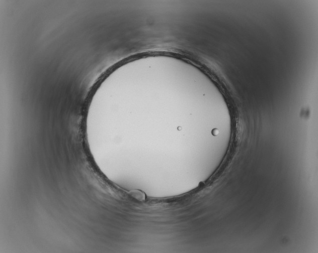 X0000112201260200909041309