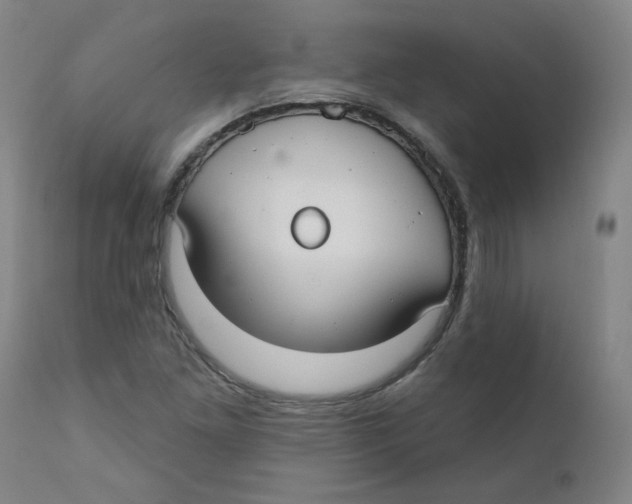 X0000112201261200909041309