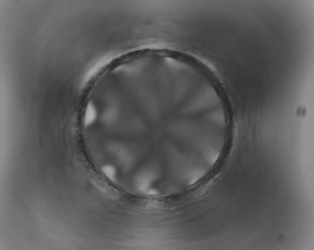 X0000112201263200909041309