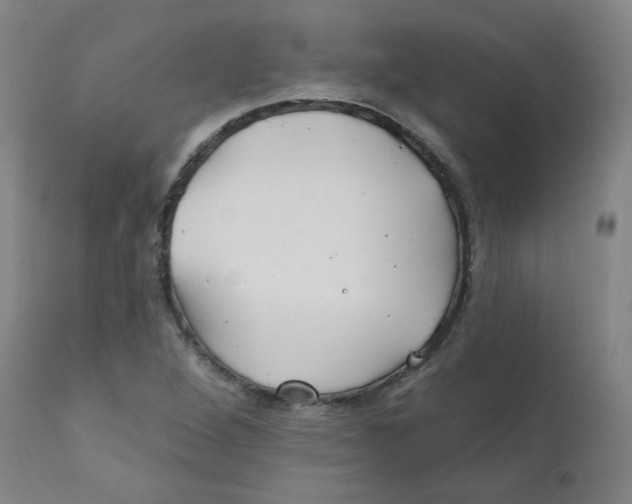 X0000112201264200909041309