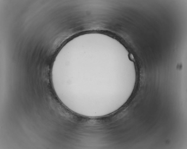 X0000112201265200909041308