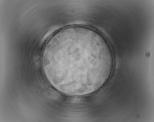 X0000112201266200909041308