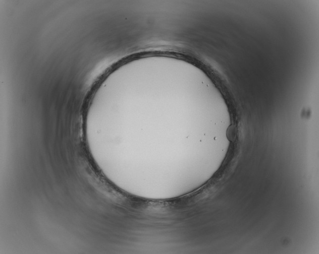 X0000112201267200909041308