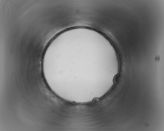 X0000112201268200909041308