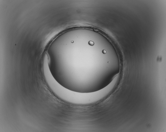 X0000112201269200909041308