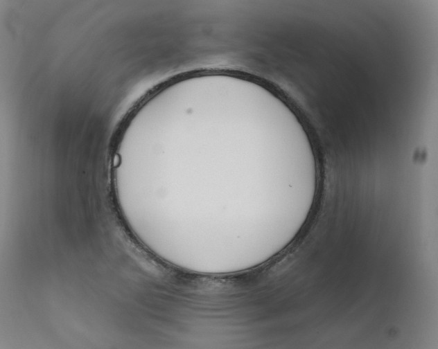 X0000112201270200909041308