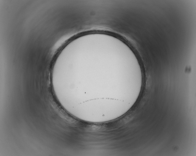 X0000112201271200909041308