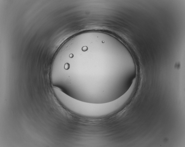 X0000112201273200909041308