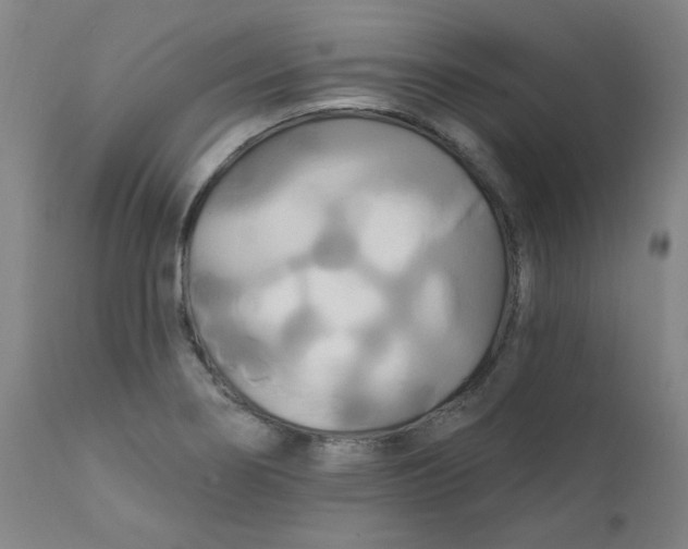 X0000112201274200909041308
