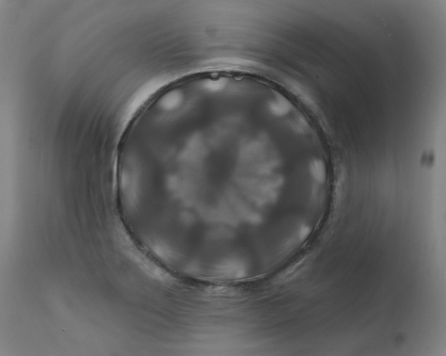 X0000112201275200909041308