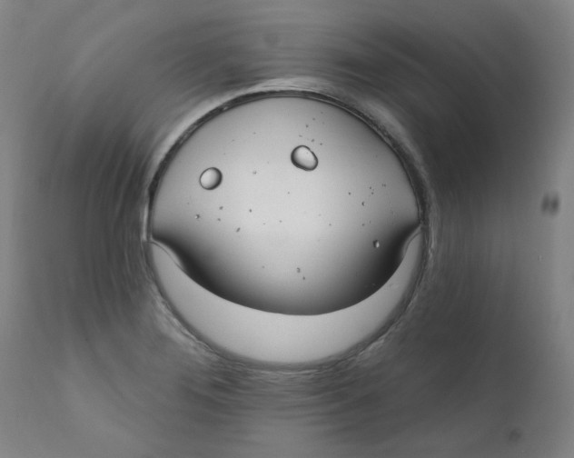 X0000112201276200909041308
