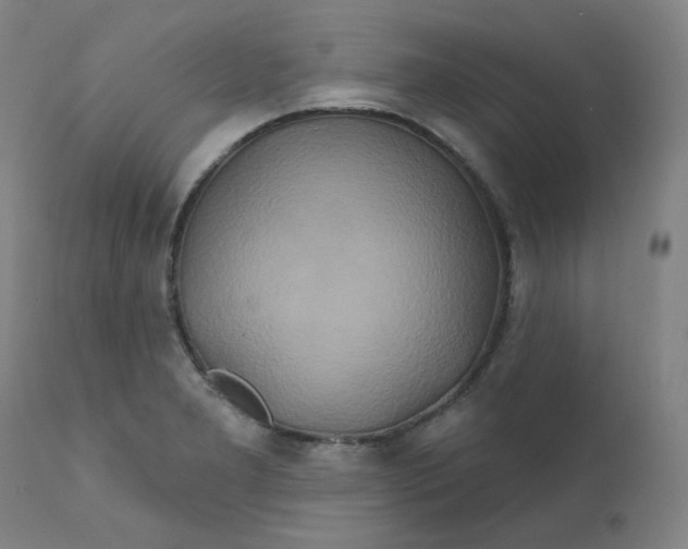 X0000112201277200909041308