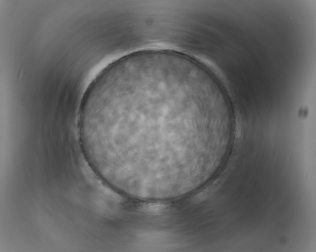 X0000112201278200909041308