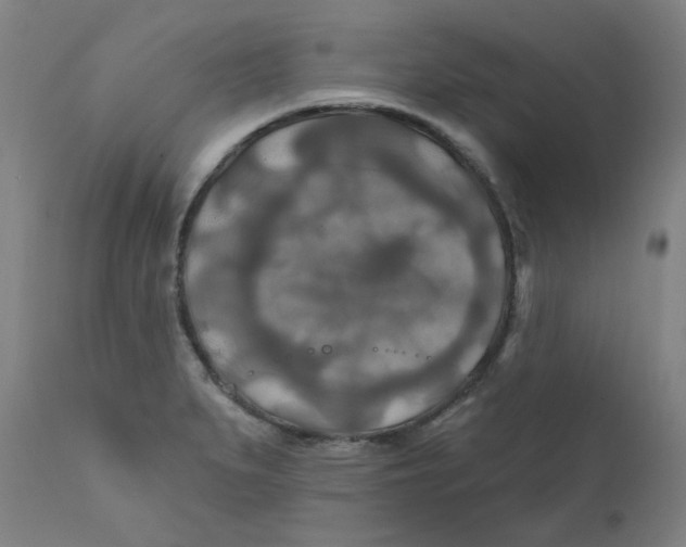 X0000112201279200909041308
