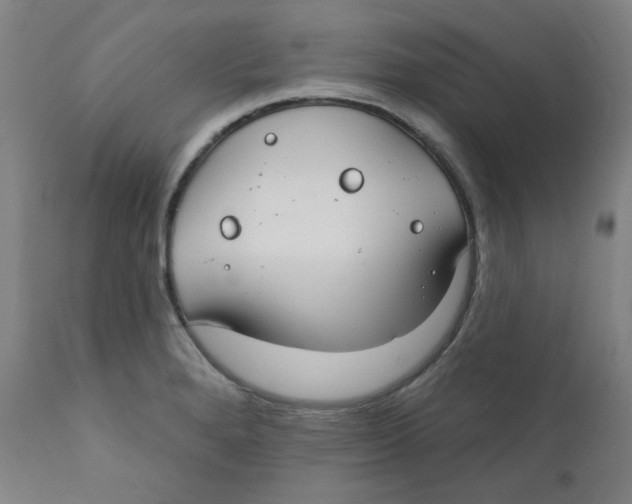 X0000112201280200909041308