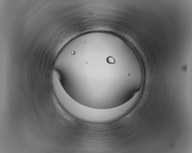 X0000112201281200909041308