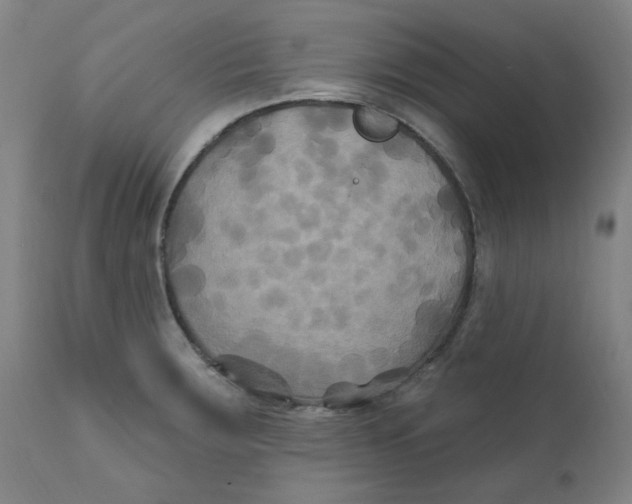 X0000112201283200909041308