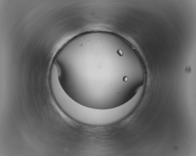 X0000112201285200909041308