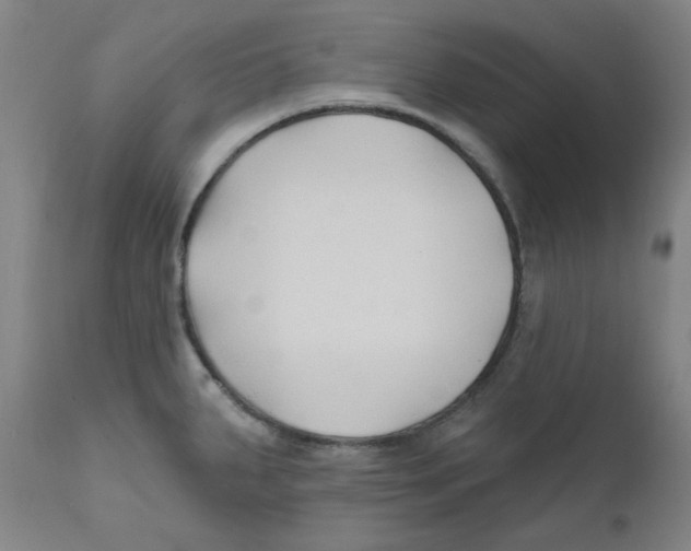 X0000112201287200909041308