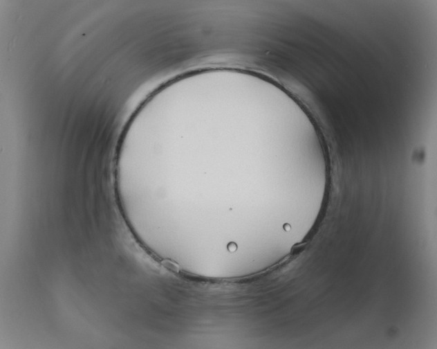 X0000112201288200909041308