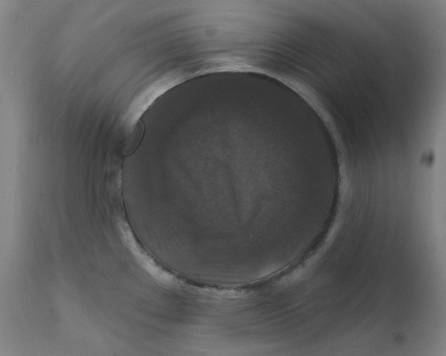 X0000112201289200909041308