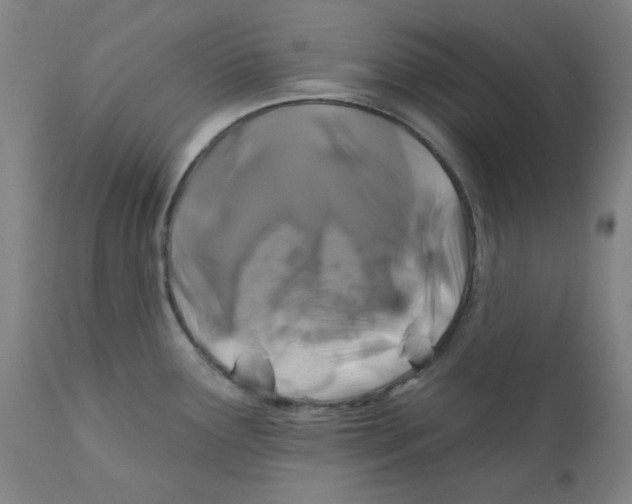 X0000112201291200909041308