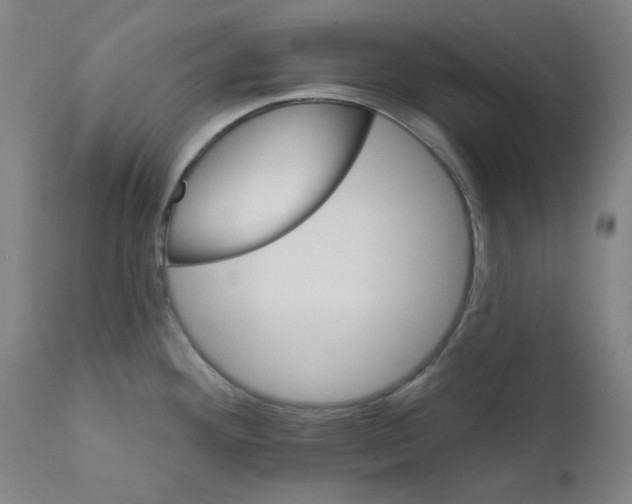 X0000112201292200909041308