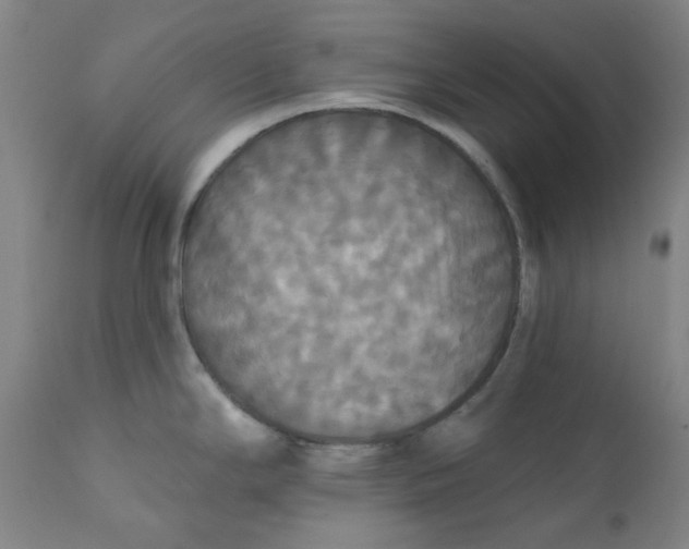 X0000112201294200909041308