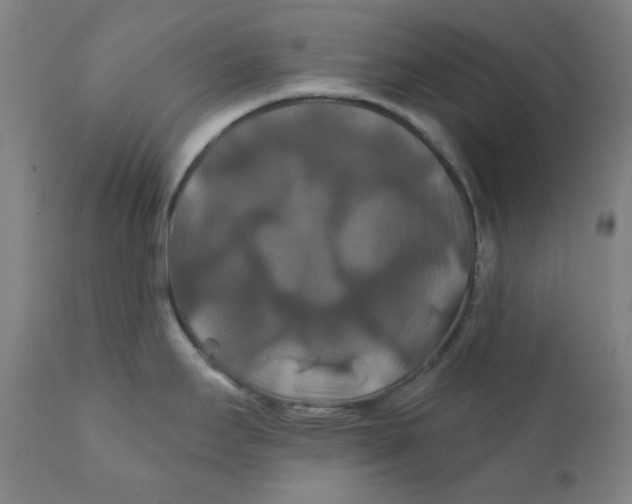 X0000112201295200909041308