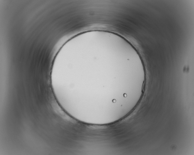 X0000112201296200909041308