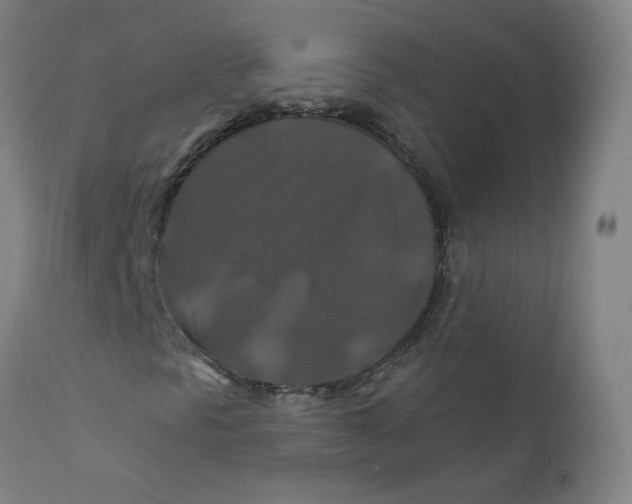 X0000112201297200909041307