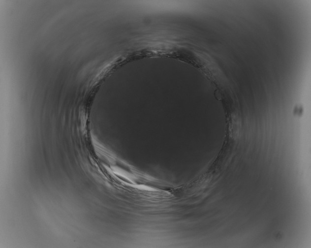 X0000112201298200909041307