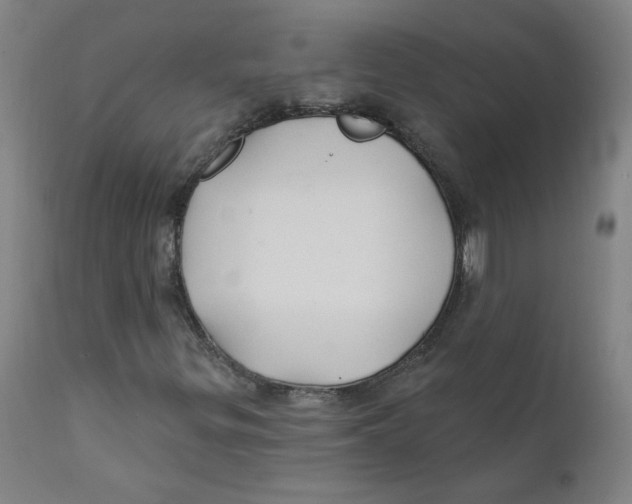X0000112201299200909041307