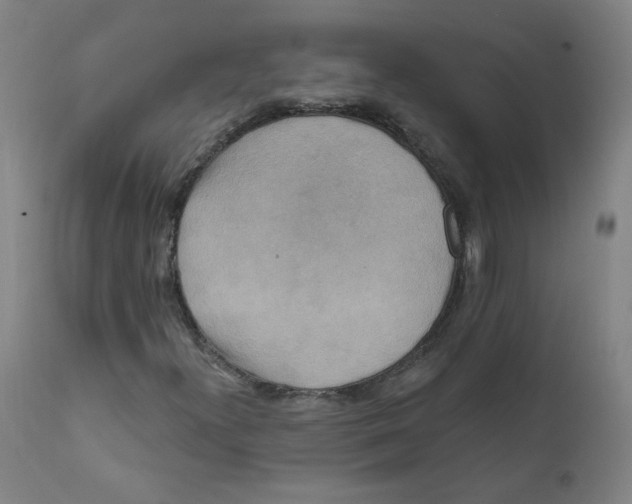 X0000112201300200909041307