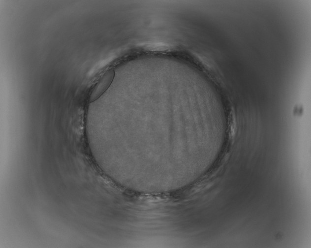 X0000112201301200909041307