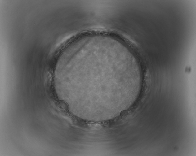 X0000112201302200909041307
