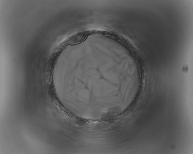 X0000112201303200909041307