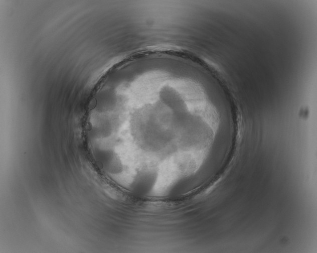 X0000112201305200909041307