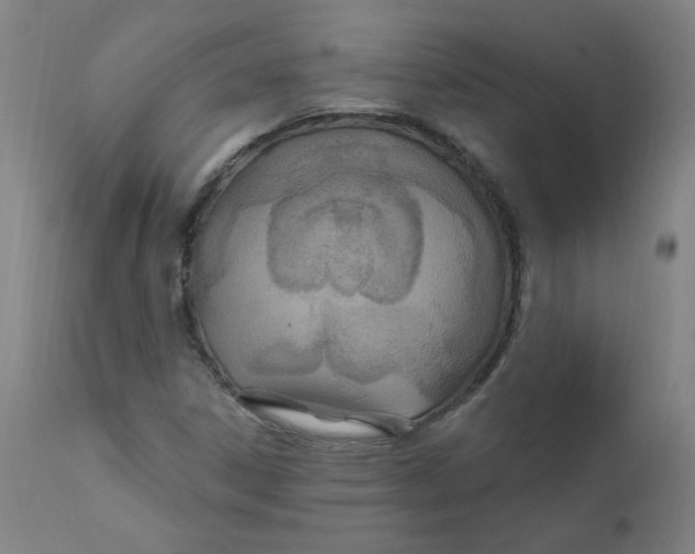 X0000112201306200909041307