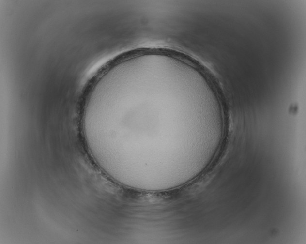 X0000112201311200909041307