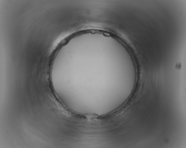 X0000112201312200909041307