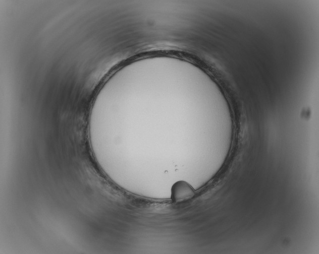 X0000112201313200909041307