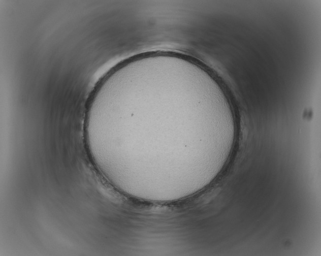 X0000112201316200909041307