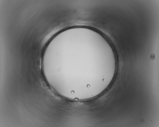 X0000112201317200909041308