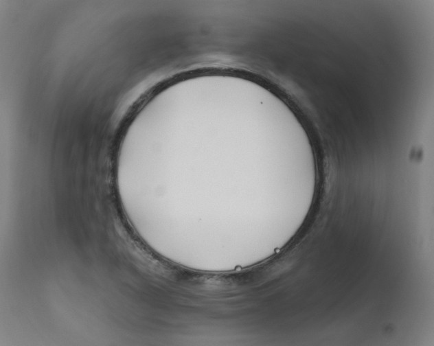 X0000112201318200909041308
