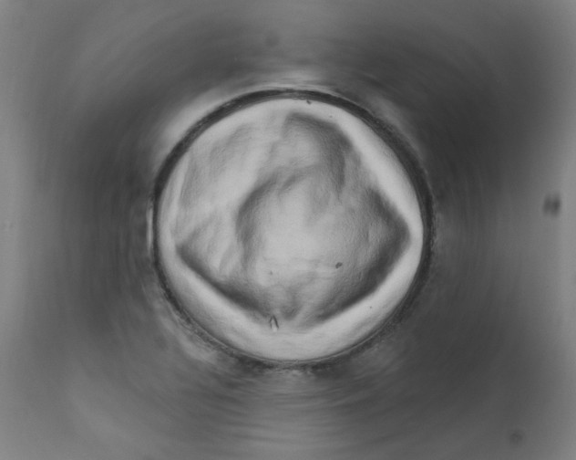 X0000112201320200909041308